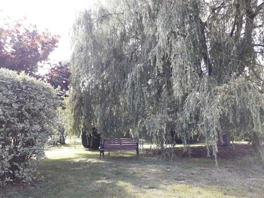 Un Petit Coin De Paradis Clairfontaine Esterno foto
